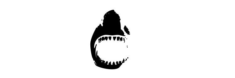 Shark Industry
